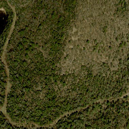 Satellite imagery of Foymount Mountain, CA