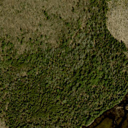 Satellite imagery of Foymount Mountain, CA
