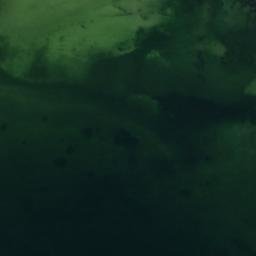 Satellite imagery of Graham Point, US