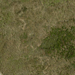 Satellite imagery of Plaunts Mountain, CA