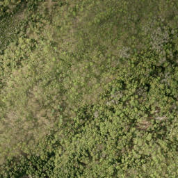 Satellite imagery of Ansters Hill, CA