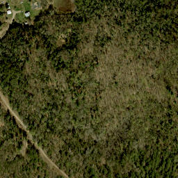 Satellite imagery of Bunkers Hill, CA