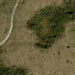 Satellite imagery of Plaunts Mountain, CA