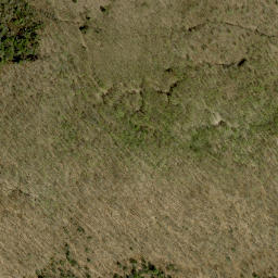 Satellite imagery of Plaunts Mountain, CA