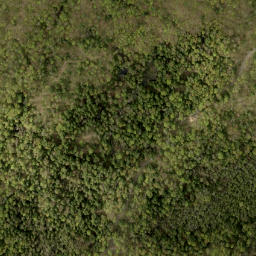 Satellite imagery of Ansters Hill, CA