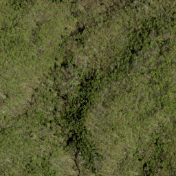 Satellite imagery of Devlins Mountain, CA