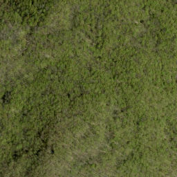 Satellite imagery of Devlins Mountain, CA