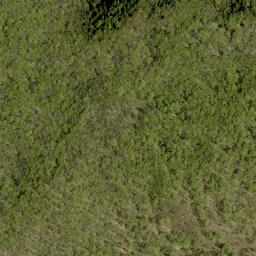 Satellite imagery of Devlins Mountain, CA