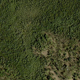 Satellite imagery of Davidsons Hill, CA