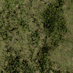 Satellite imagery of Devlins Mountain, CA