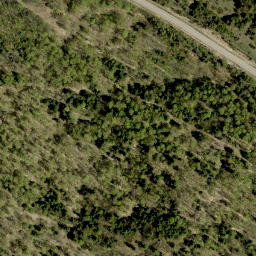 Satellite imagery of Davidsons Hill, CA