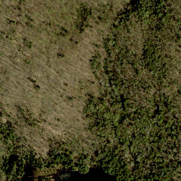 Satellite imagery of Moran Mountain, CA