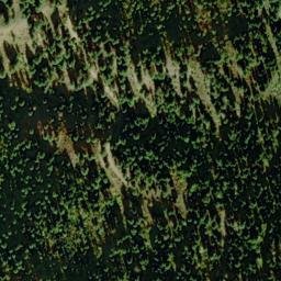 Satellite imagery of Dogtown, US