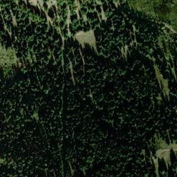 Satellite imagery of Dogtown, US
