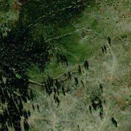 Satellite imagery of Dogtown, US
