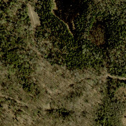 Satellite imagery of Moran Mountain, CA