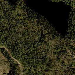 Satellite imagery of Moran Mountain, CA