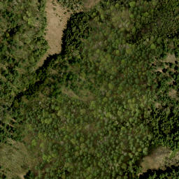 Satellite imagery of Yellow Jacks Hill, CA