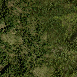 Satellite imagery of Yellow Jacks Hill, CA