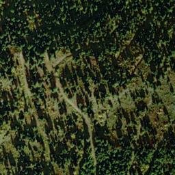 Satellite imagery of Dogtown, US