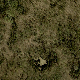 Satellite imagery of Moran Mountain, CA