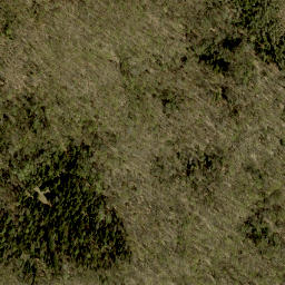 Satellite imagery of Moran Mountain, CA