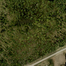 Satellite imagery of Yellow Jacks Hill, CA