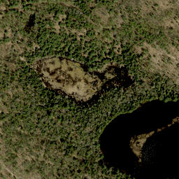 Satellite imagery of Pine Ridge, CA