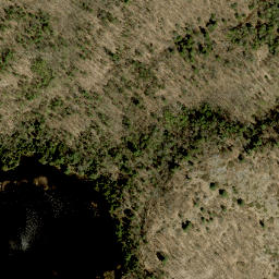Satellite imagery of Pine Ridge, CA