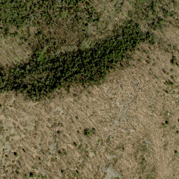 Satellite imagery of Pine Ridge, CA