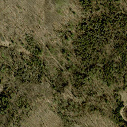 Satellite imagery of Buck Mountain, CA