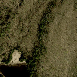 Satellite imagery of Buck Mountain, CA