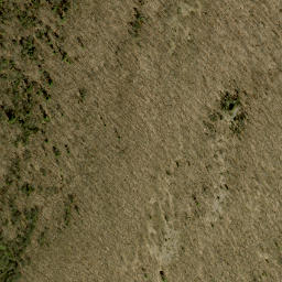 Satellite imagery of Buck Mountain, CA