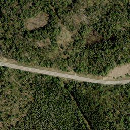 Satellite imagery of Collins Hill, CA
