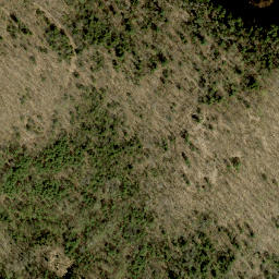 Satellite imagery of Pine Ridge, CA