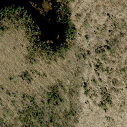 Satellite imagery of Pine Ridge, CA