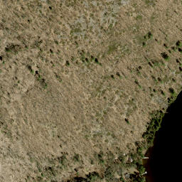 Satellite imagery of Pine Ridge, CA