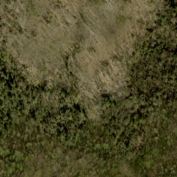 Satellite imagery of Buck Mountain, CA