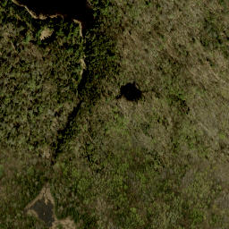 Satellite imagery of Buck Mountain, CA
