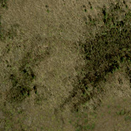 Satellite imagery of Buck Mountain, CA