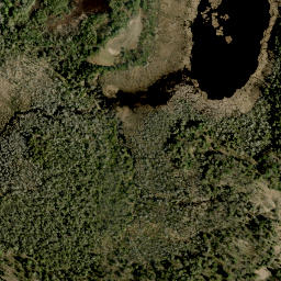 Satellite imagery of Collins Hill, CA