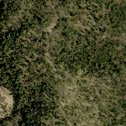 Satellite imagery of Collins Hill, CA