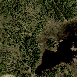 Satellite imagery of Collins Hill, CA