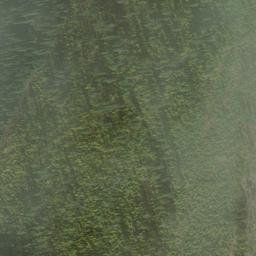 Satellite imagery of Bluegrass Ridge, US
