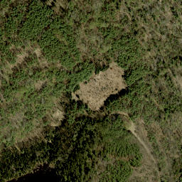 Satellite imagery of Pine Ridge, CA