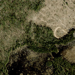 Satellite imagery of Pine Ridge, CA