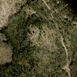 Satellite imagery of Pine Ridge, CA