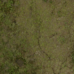 Satellite imagery of Buck Mountain, CA