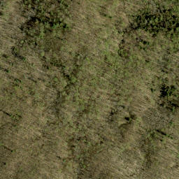 Satellite imagery of Tooeys Hill, CA