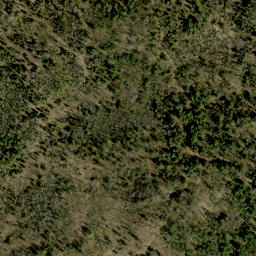 Satellite imagery of Collins Hill, CA